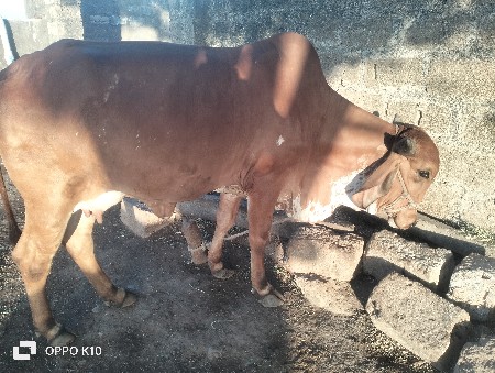 थंबनेल 2