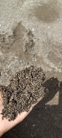 ભાદર અને ઓઝત ની  ચોખ્ખી રેતી