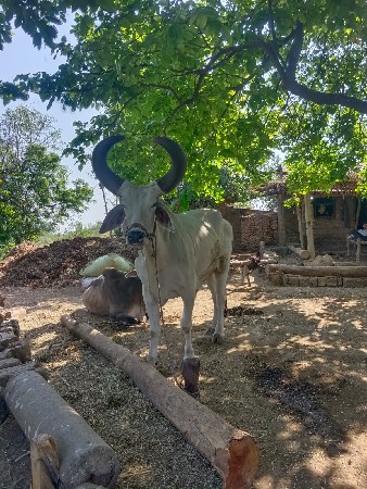 थंबनेल 2