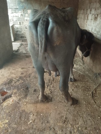 थंबनेल 2