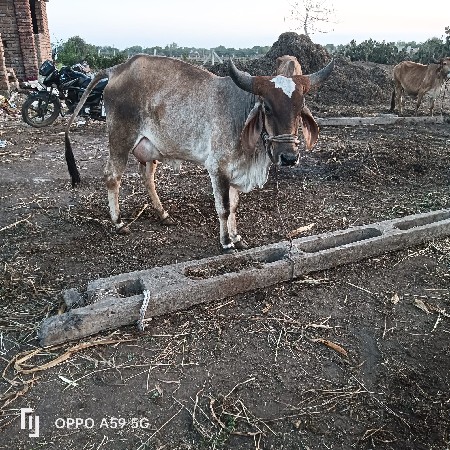 थंबनेल 3