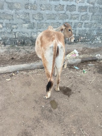 થંબનેલ 3