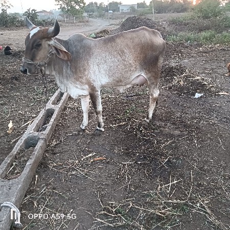 थंबनेल 2