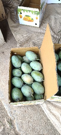 વેચવાની છે