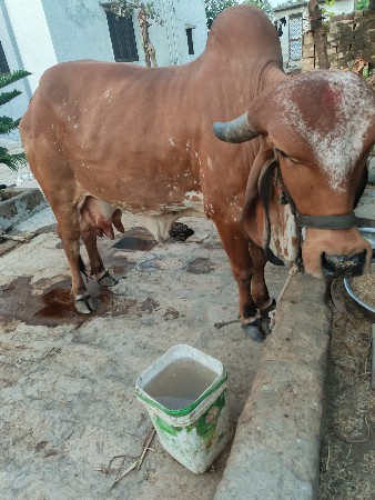 थंबनेल 3