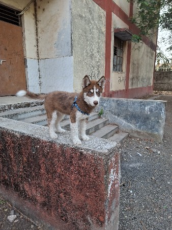 થંબનેલ 3