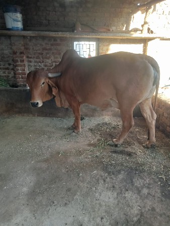 थंबनेल 2