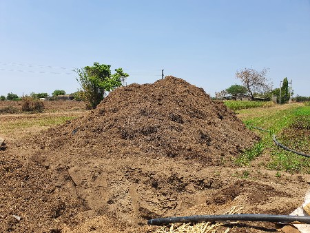 છાણિયું ખાતર વેચવાનું છે.