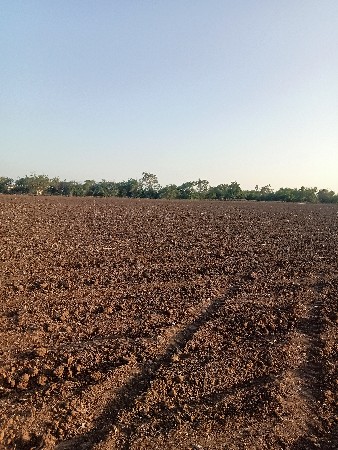ખેતીની જમીન વેચવાની છે ખેતીની જમીન