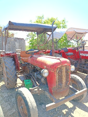 थंबनेल 2