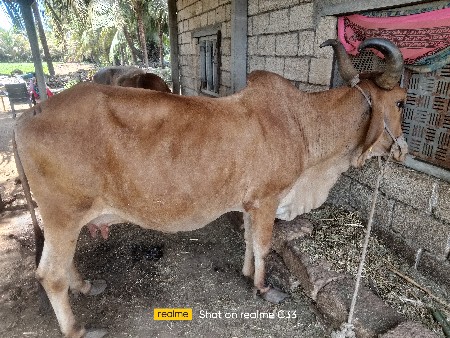 थंबनेल 2