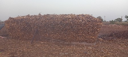 નિરણ વેચવાની છે