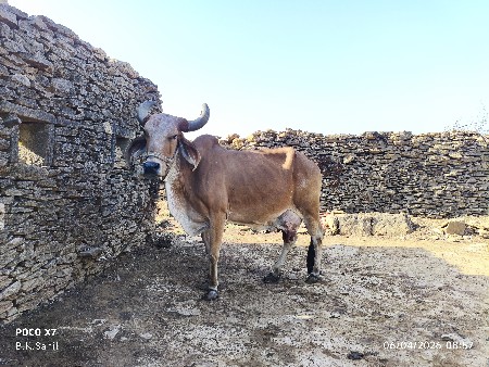 थंबनेल 3