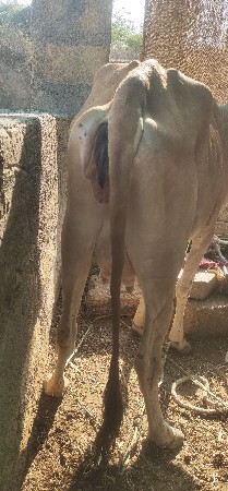 थंबनेल 3