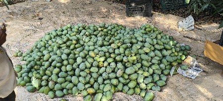 વેચવાની છે