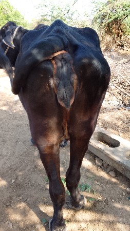 थंबनेल 3