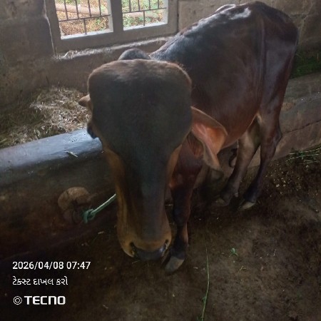 थंबनेल 2