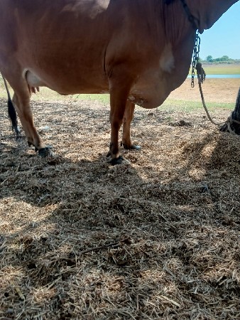 थंबनेल 3