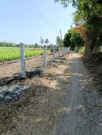 थंबनेल 3