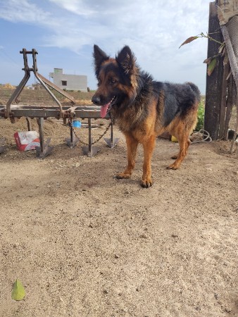 थंबनेल 2