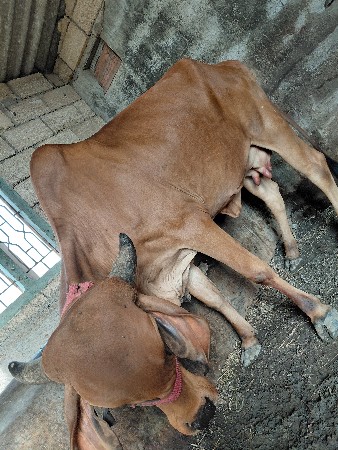 थंबनेल 2