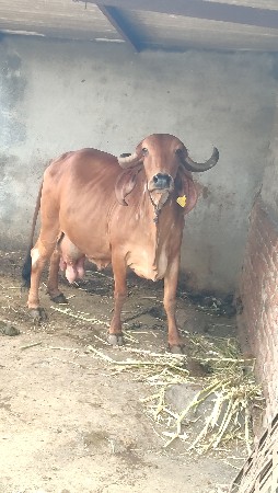 थंबनेल 2