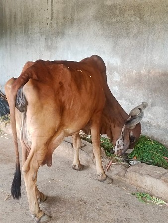 थंबनेल 3