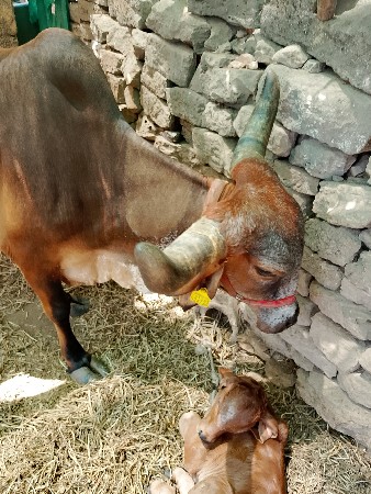 थंबनेल 2