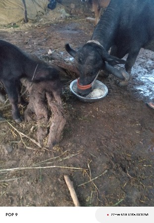 थंबनेल 3