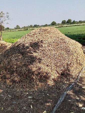 મગફળી નો ભુકો વેચવાનો છે.