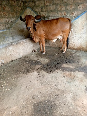 थंबनेल 2