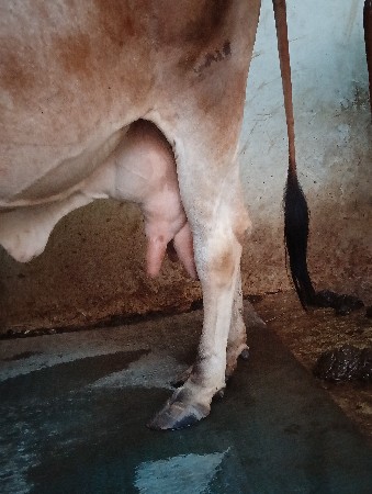 થંબનેલ 2