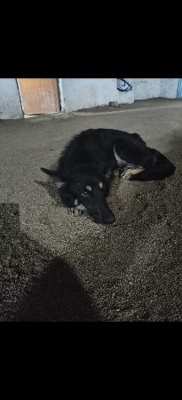 થંબનેલ 2