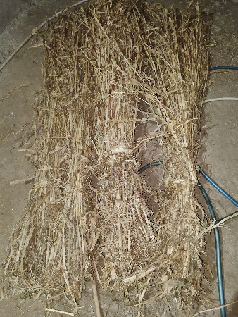 12 રુપિયા જુવાર ના પુરા ના