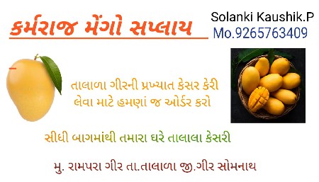 તાલાળા ગીર ની પ્રખ્યાત કેસર કેરી