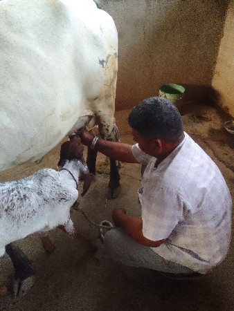 थंबनेल 3