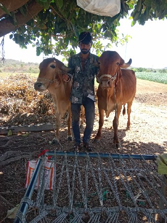 ઘૉઢલા વેચવાના સે