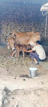 થંબનેલ 5