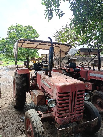 થંબનેલ 3