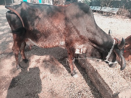 थंबनेल 2