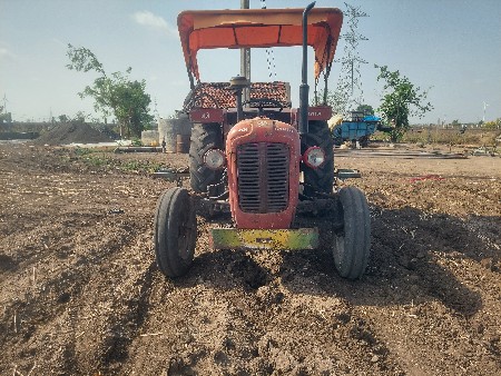 મેસી ફરજુશન