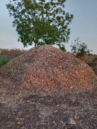 મગફળી નો ભુકો વેચવાનો છે.