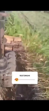 તલ બાજરો મગ જુવાર વાઢવા હોય તો ફોન