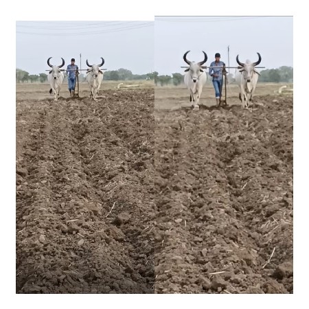 વેચવાના