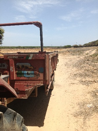 ટ્રોલી વેચવાની છે