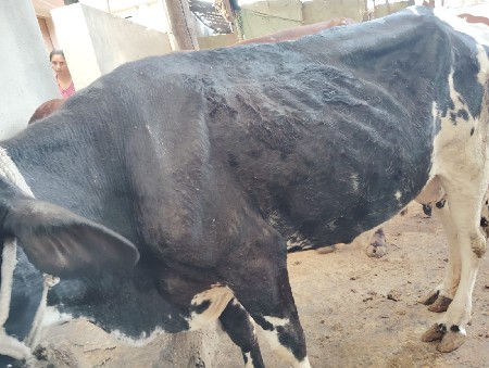 थंबनेल 3