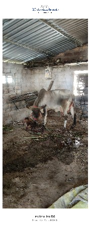 વેચવાની છે