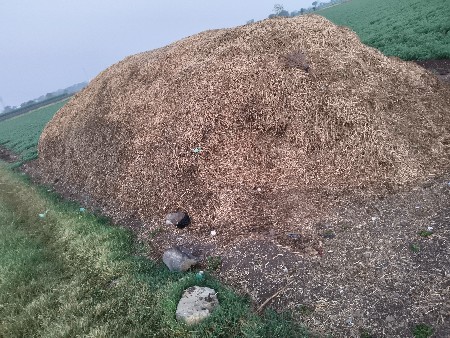 ૮ વિઘા નો કોરો ભુકો