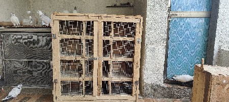 12 ખાના વાળી પેટી છે નવી