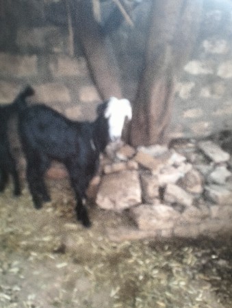 थंबनेल 2